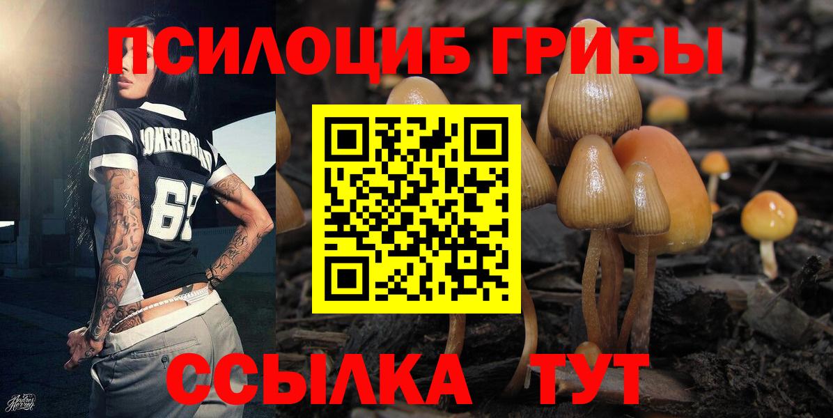 Псилоцибиновые грибы прущие грибы Елабуга