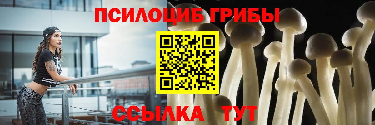 Галлюциногенные грибы GOLDEN TEACHER  Вход с VPN  Елабуга 